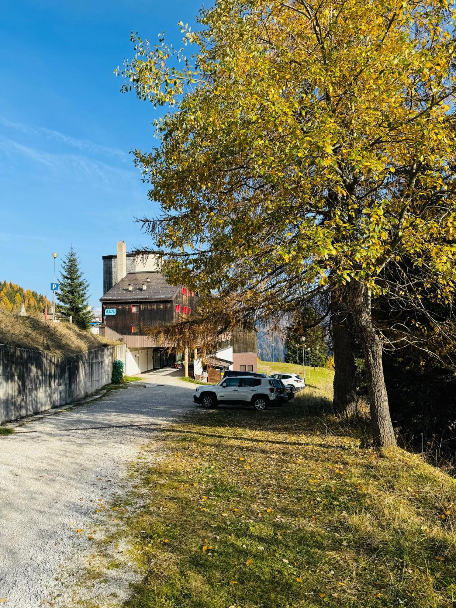 Apartament Il Cirmolo Delle Saline Falcade Zewnętrze zdjęcie